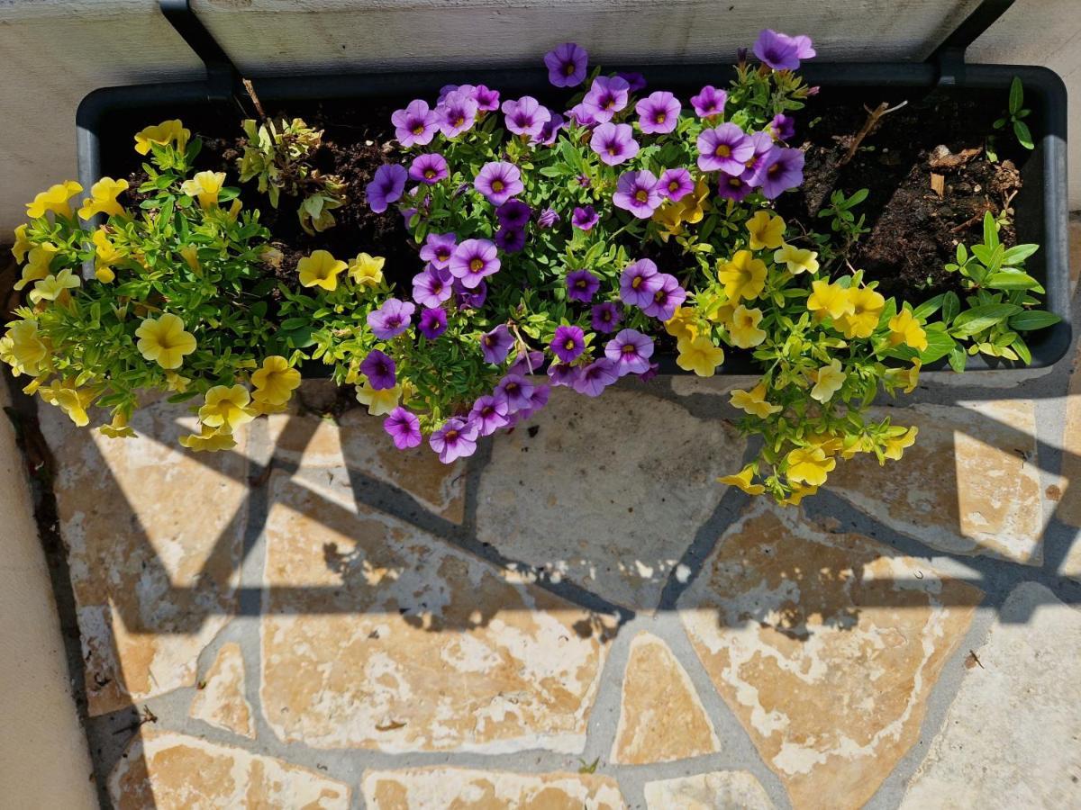 Bel Posto Apartment Dubrovnik Exterior foto